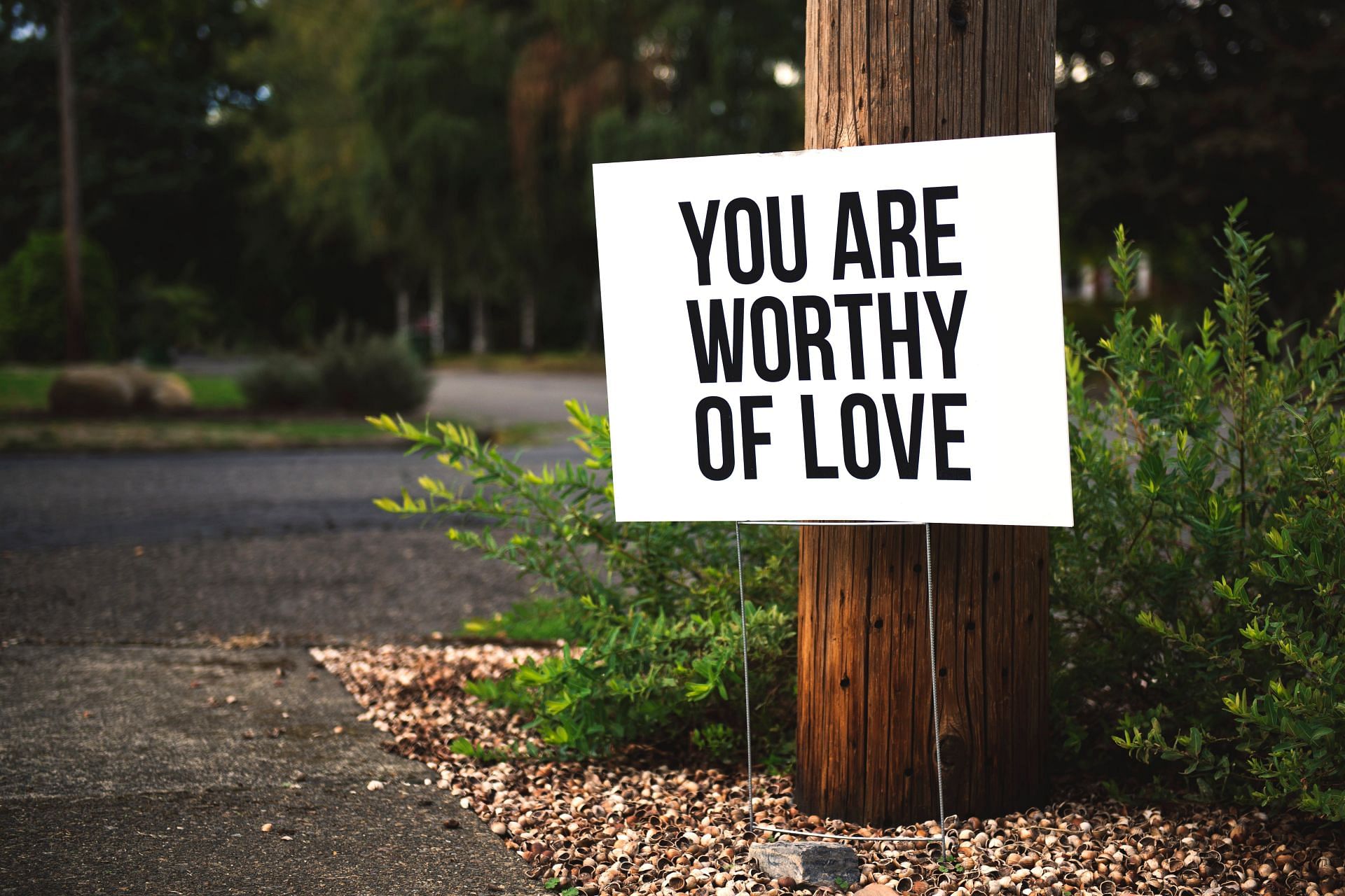 You are always going to be worthy of love and care. Don't let others dictate it otherwise. (Image via Pexels/ Tom Mossholder)